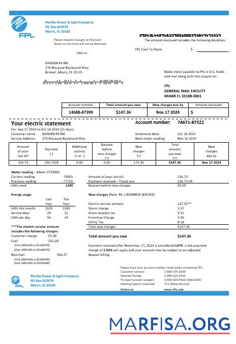 Blank USA Florida Power & Light Company (FPL) electricity business utility bill template in Word and PDF formats